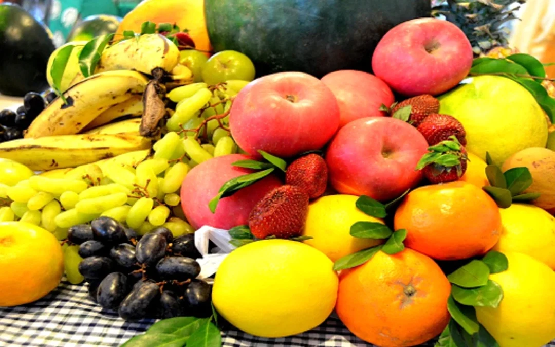 June 20th 2025 Food Sort