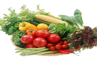 May 23rd 2025 Food Sort